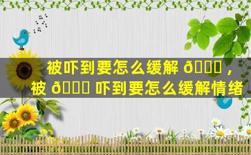 被吓到要怎么缓解 🕊 ,被 🍁 吓到要怎么缓解情绪